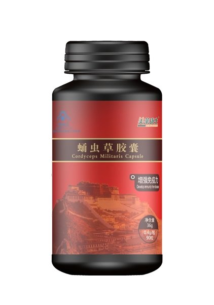 Кордицепс порошковый Cordyceps millitaris capsule, 90 капсул